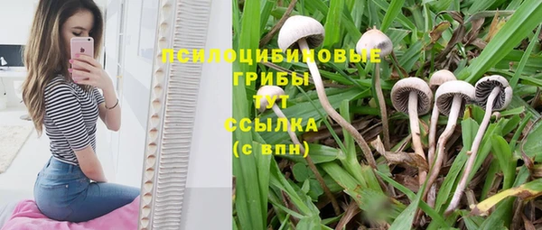 MESCALINE Белоозёрский